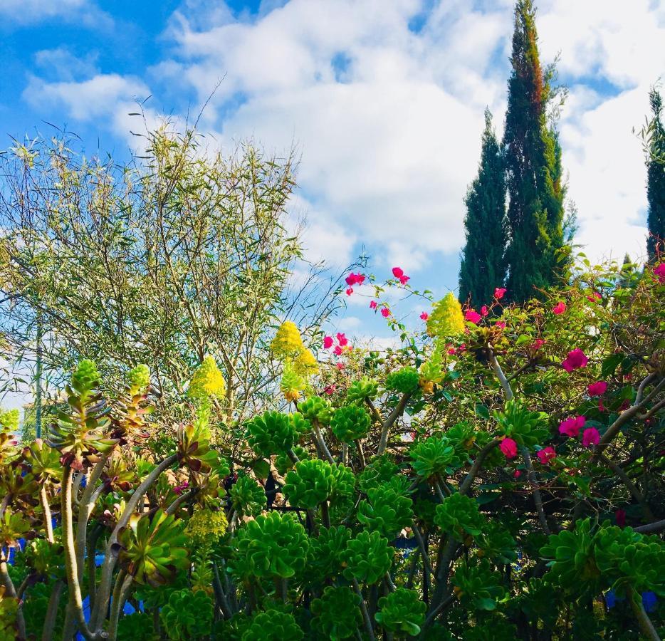 Bohemian Villa - Malaga 알로라 외부 사진