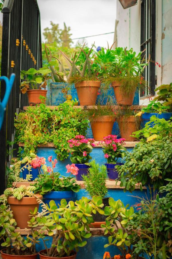 Bohemian Villa - Malaga 알로라 외부 사진